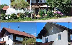 Allgäu Pension Ab in den Süden